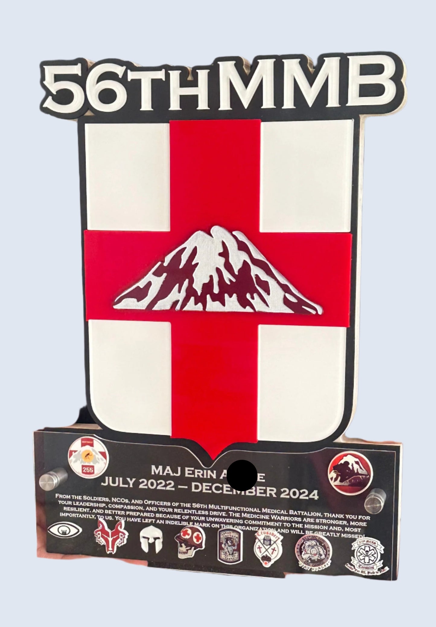 Honoring Heroes Signature Badge Plaques - Perfect for Military, EMT, Police and Firefighters!